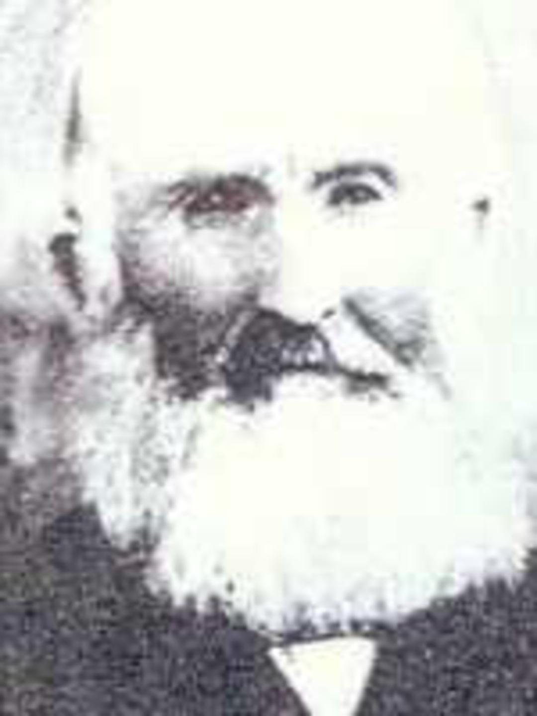 Steuben Rollins (1832 - 1909) Profile
